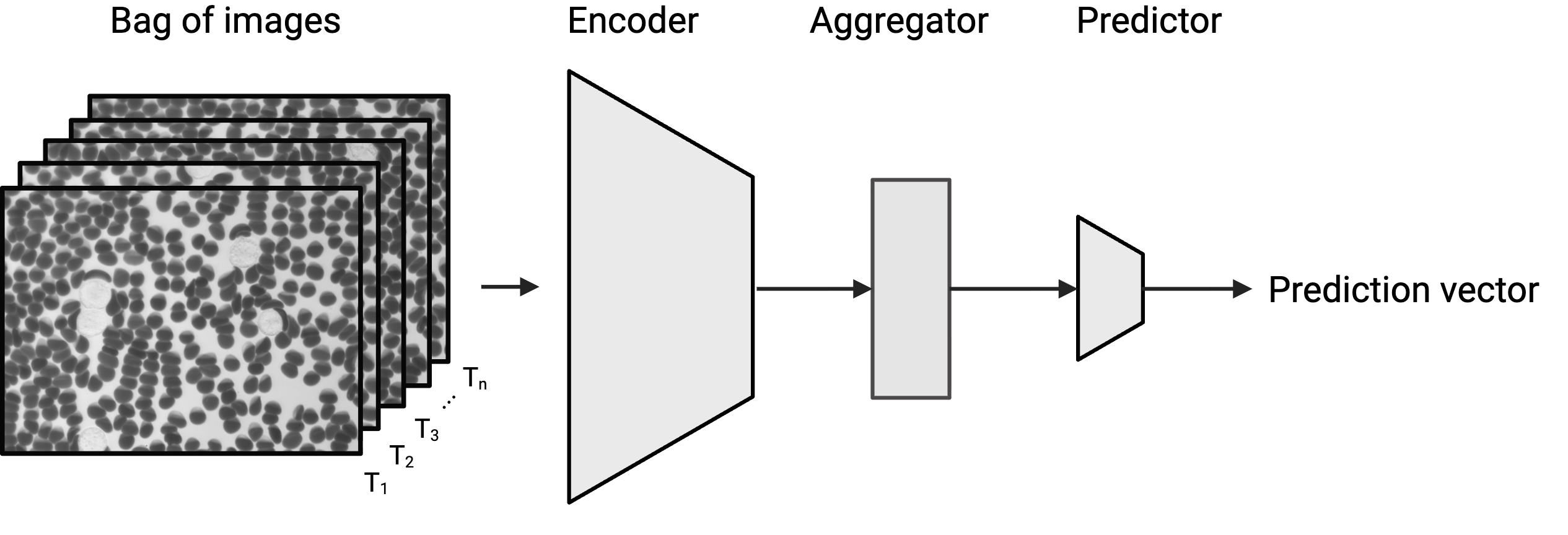 RemoID model architecture